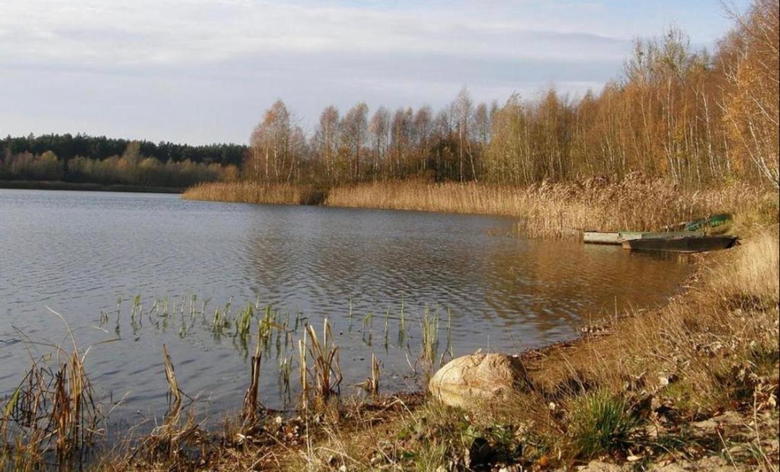 Domek nad jeziorem w Puszczy Zielonka Kaminsko Zewnętrze zdjęcie